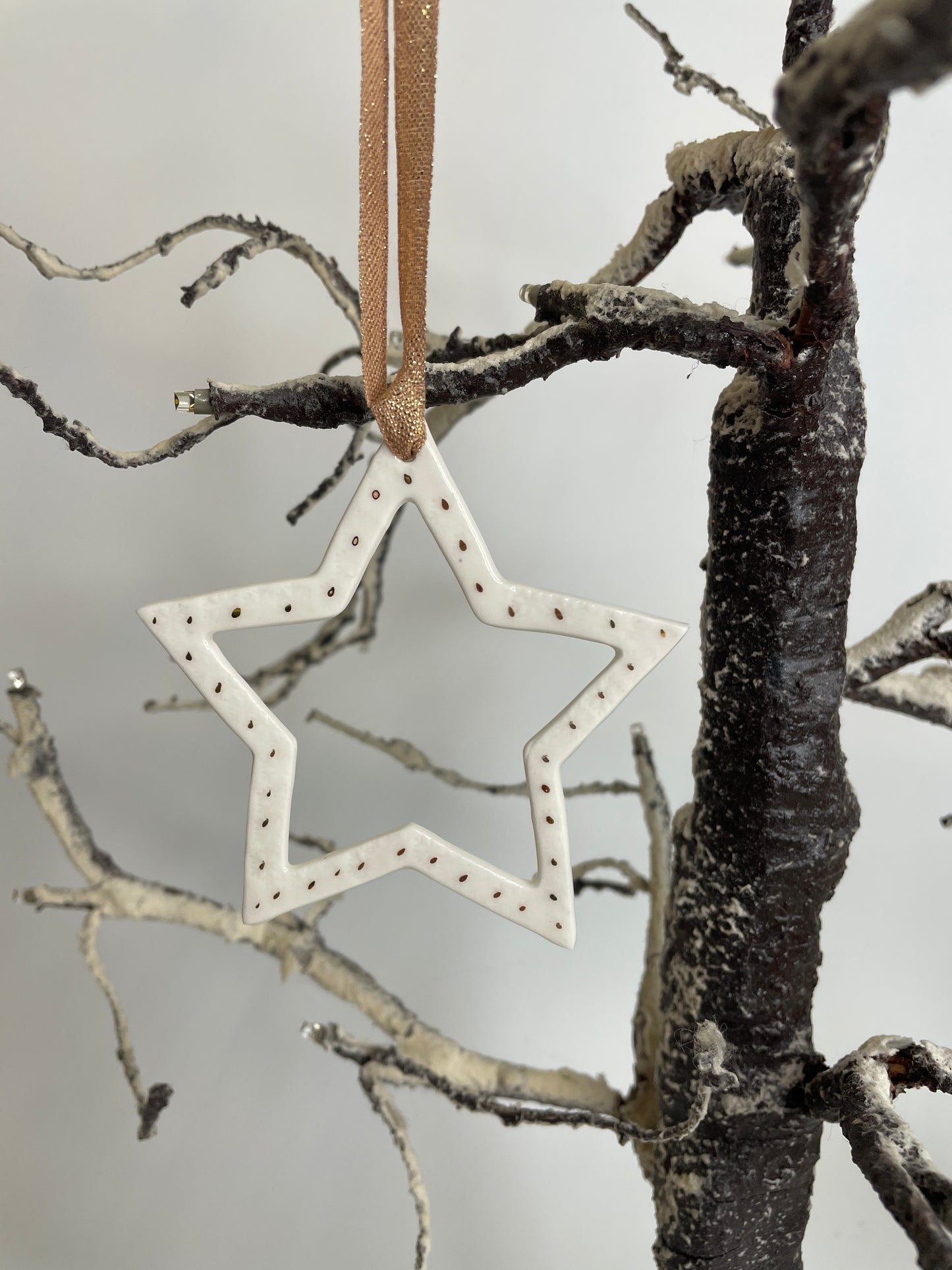 Star decoration